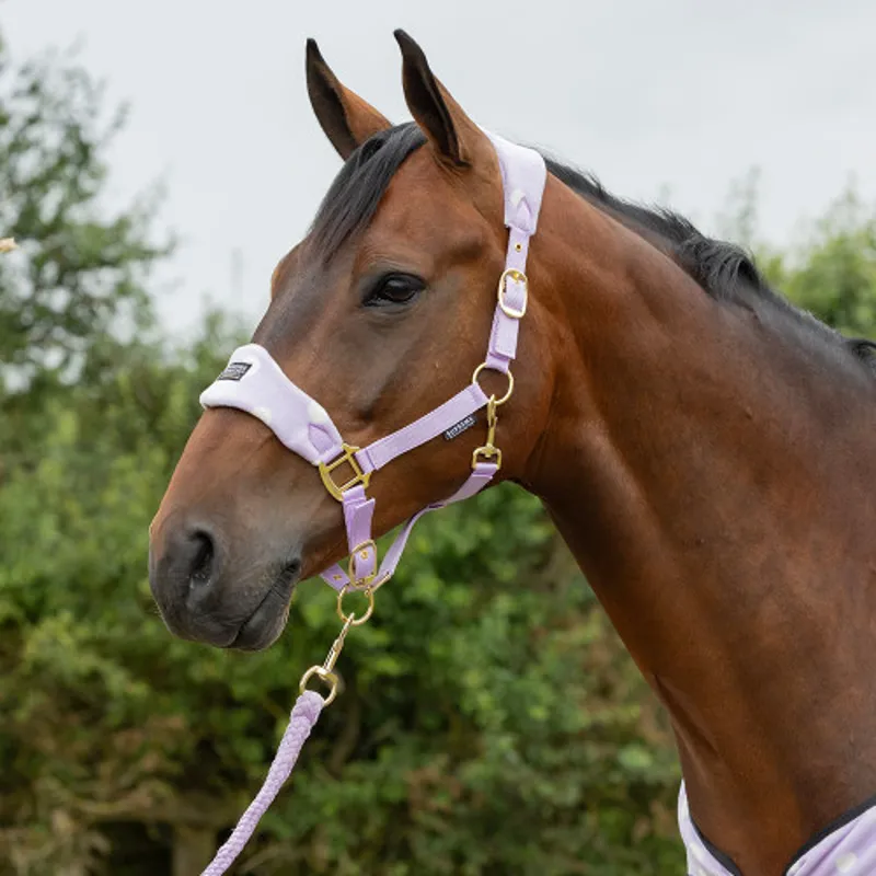 Supreme Products Dotty Fleece Head Collar and Lead Rope - Lavish Lilac