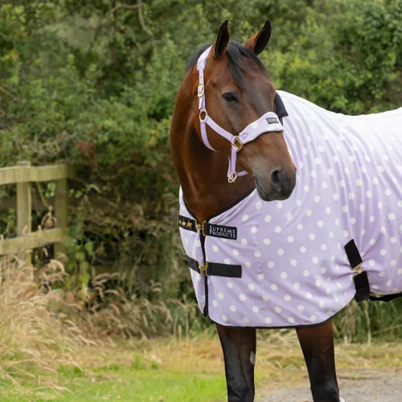 Supreme Products Dotty Fleece Head Collar and Lead Rope - Lavish Lilac-1