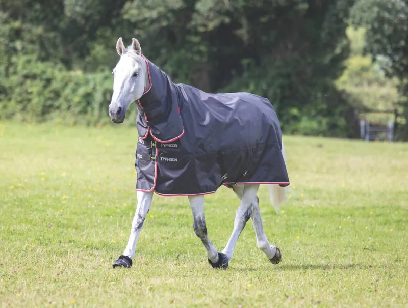 Shires Typhoon 200g Combo Turnout Rug - Black