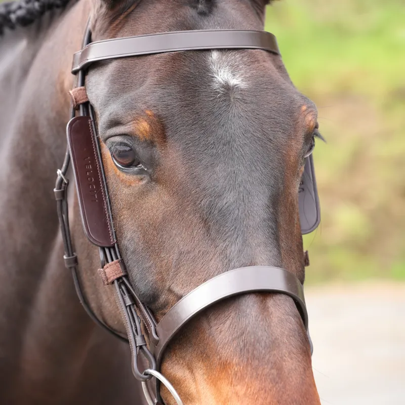 Shires Velociti GARA Leather Blinkers - Havana-2