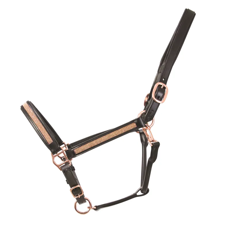 Hy Equestrian Rosciano Rose Gold Head Collar - Black/Rose Gold