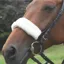 Shires Acrilan Noseband Sleeve - Natural