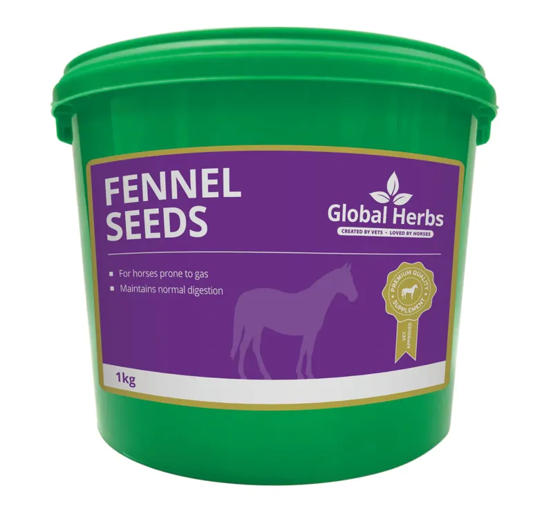 Global Herbs Fennel Seeds-1