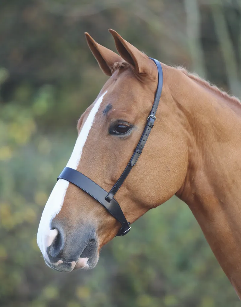 Shires Velociti GARA Hunter Cavesson Noseband - Black