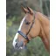 Shires Velociti GARA Hunter Cavesson Noseband - Black