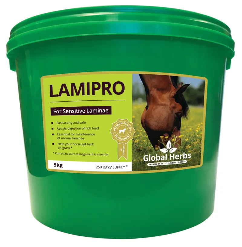 Global Herbs LamiPro Powder-1