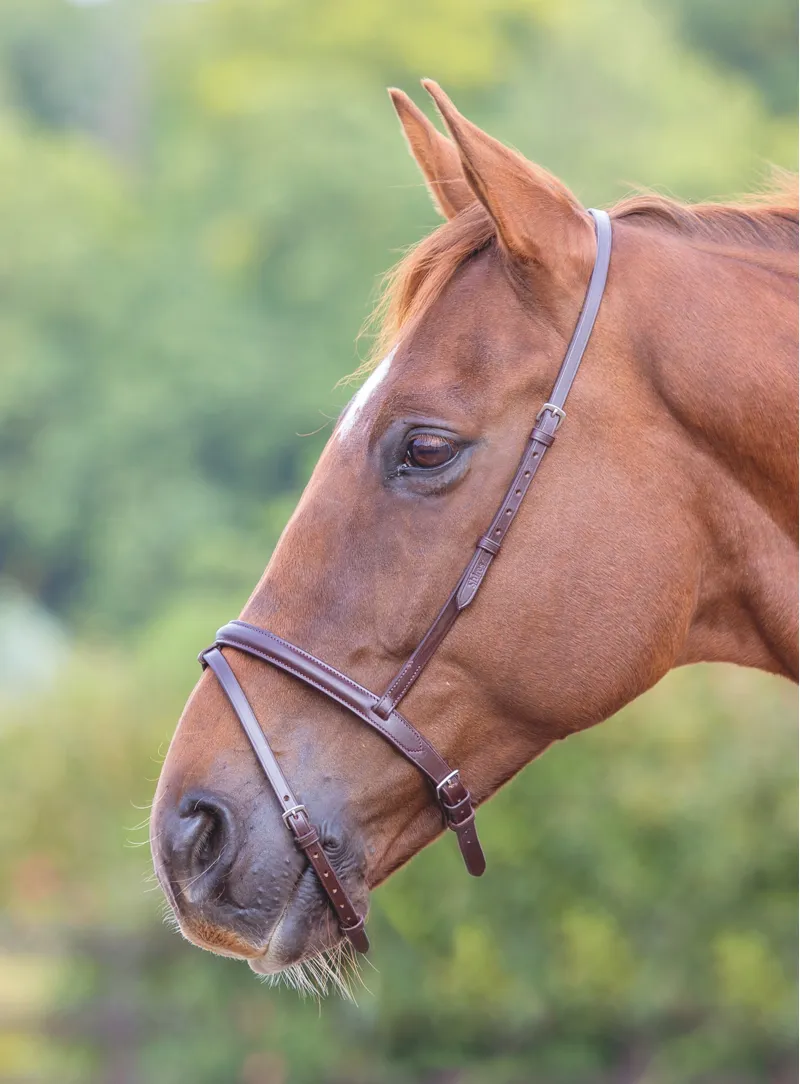 Shires Velociti GARA Flash Noseband - Havana