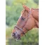 Shires Velociti GARA Flash Noseband - Havana