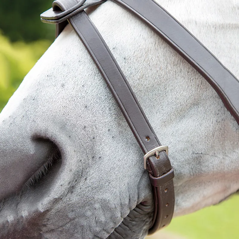 Shires Velociti GARA Flash Strap - Havana