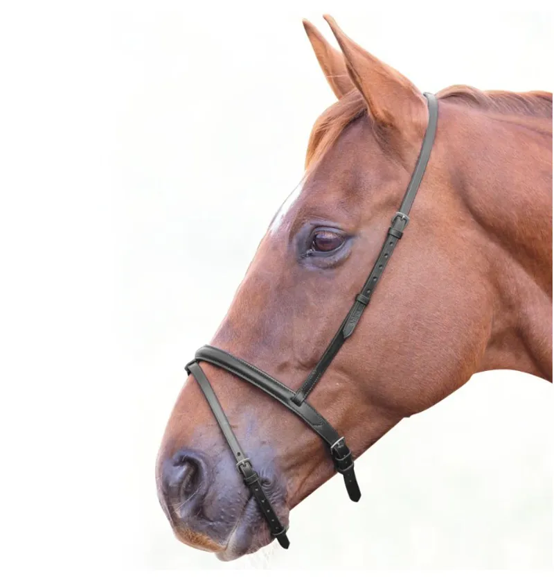 Shires Velociti GARA Flash Noseband - Black