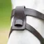 Shires Velociti GARA Flash Attachment - Havana