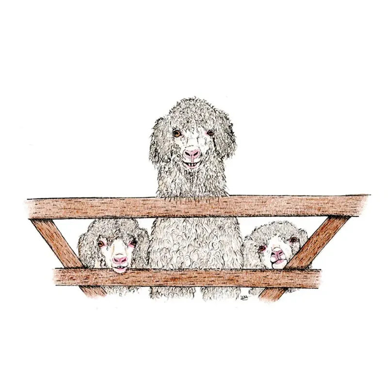 Kevin Milner Countryside Cards - Thre Goats