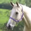 Shires Wessex Headcollar - Purple/Lilac