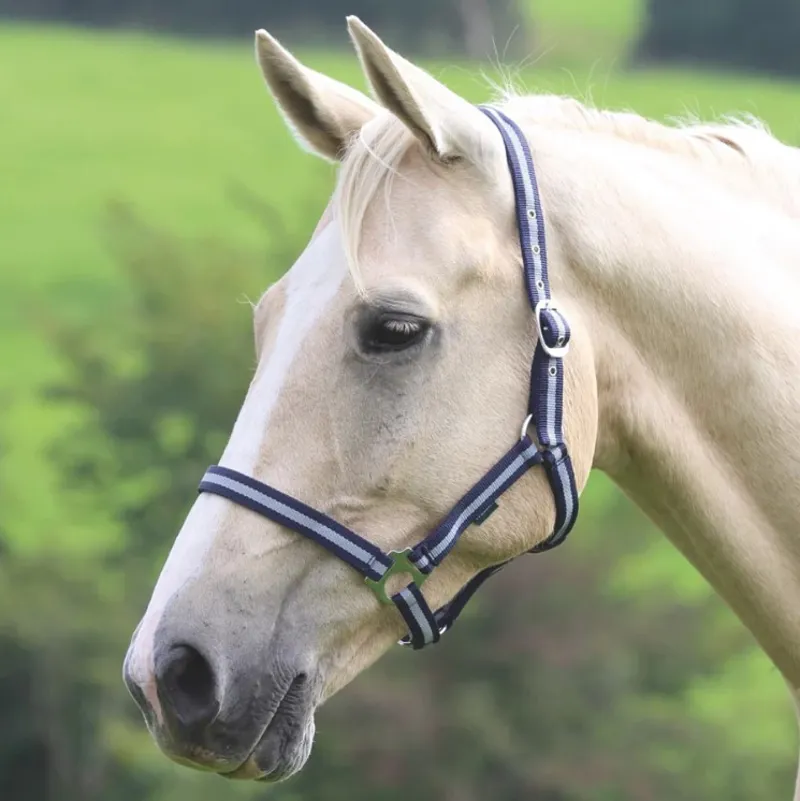 Shires Wessex Headcollar - Navy/Silver