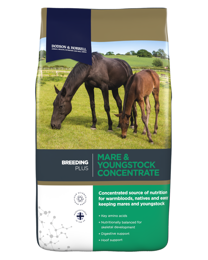 Dodson and Horrell Mare and Youngstock Concentrate Feed - 20 kg-1
