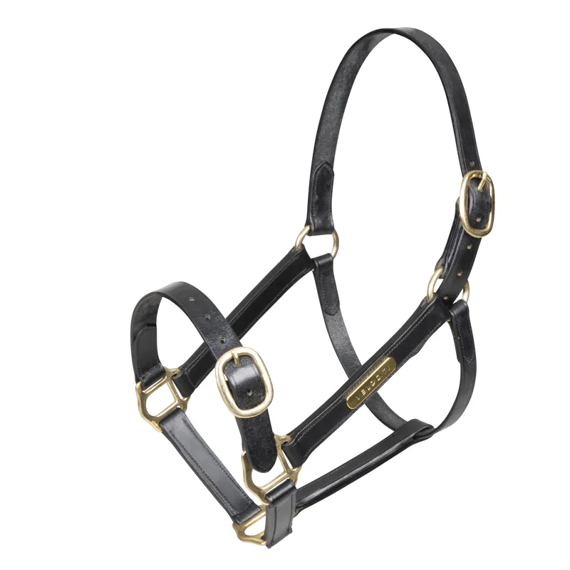Shires Velociti GARA Fully Adjustable Leather Headcollar - Black