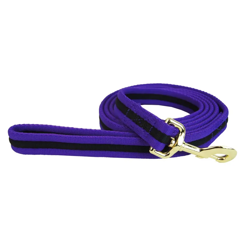 Hy Soft Webbing Lead Rein - Purple/Black