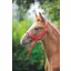 Shires Nylon Foal Slip - Red