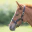 Shires Foal Nylon Headcollar - Black