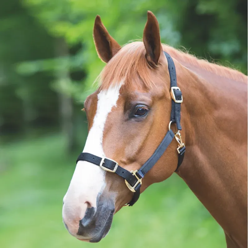 Shires Adjustable Headcollar - Black
