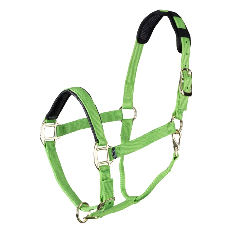Shires Topaz Nylon Headcollar - Green