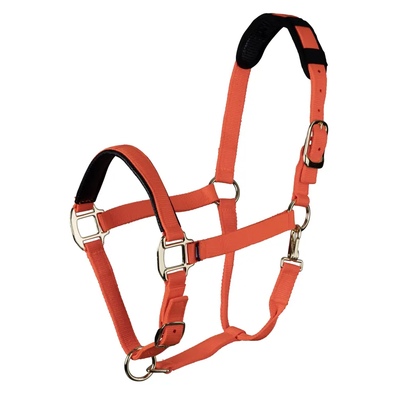 Shires Topaz Nylon Headcollar - Orange