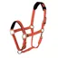 Shires Topaz Nylon Headcollar - Orange