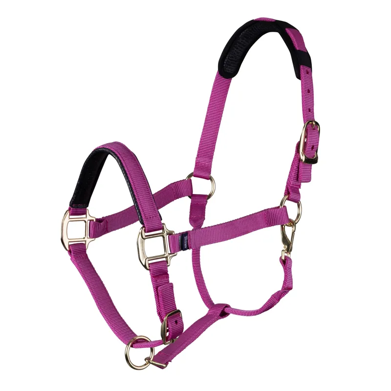 Shires Topaz Nylon Headcollar - Raspberry