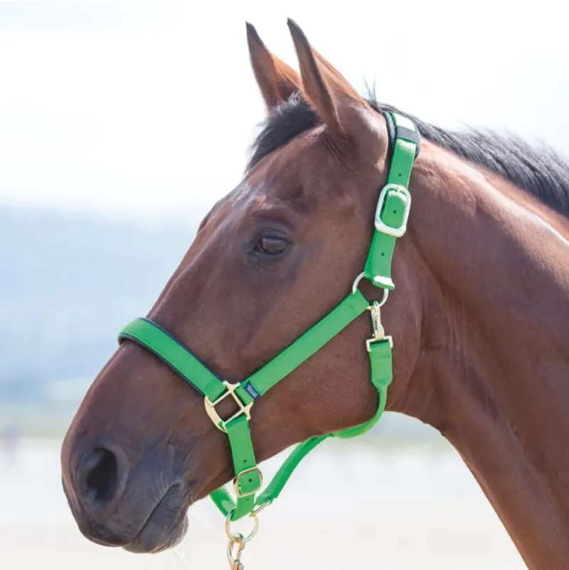 Shires Topaz Nylon Headcollar - Green-1