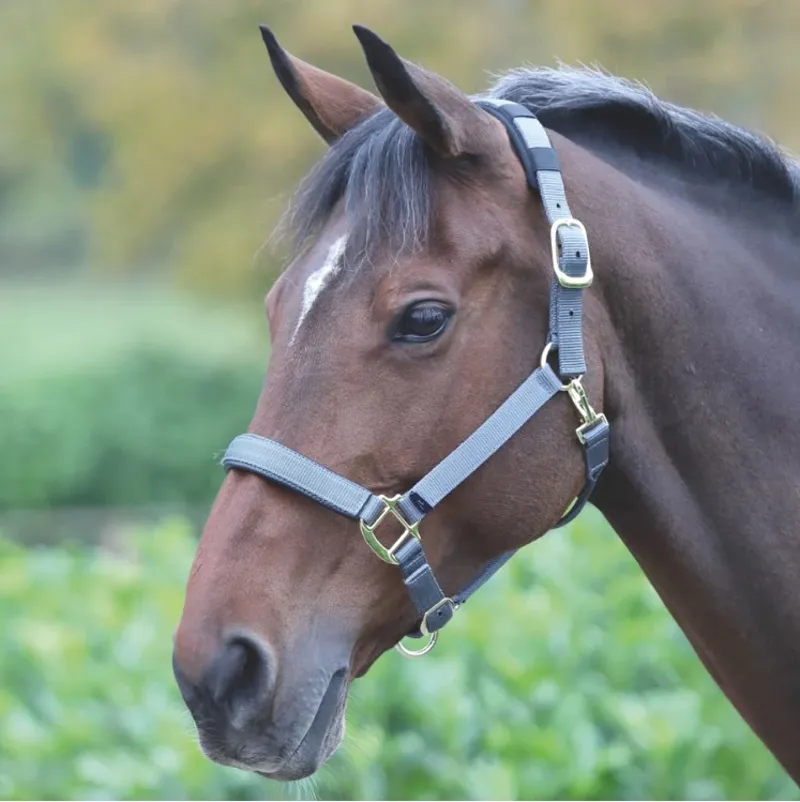 Shires Topaz Nylon Headcollar - Grey-1