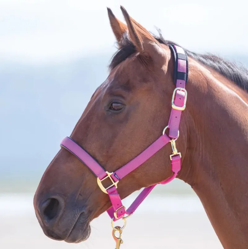 Shires Topaz Nylon Headcollar - Pink-1