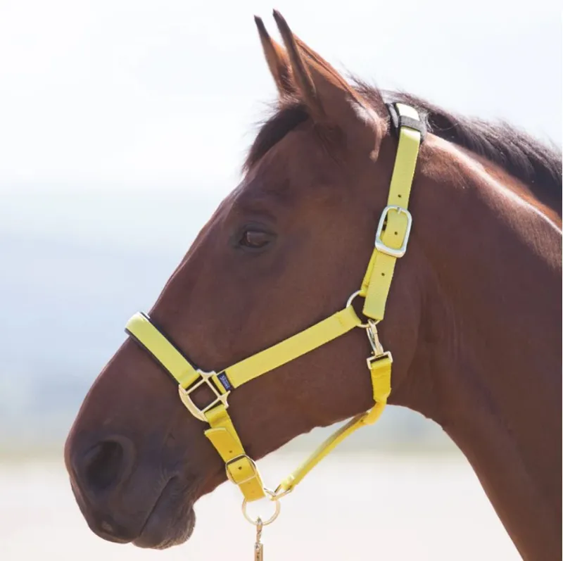 Shires Topaz Nylon Headcollar - Yellow-1