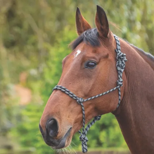Headcollars