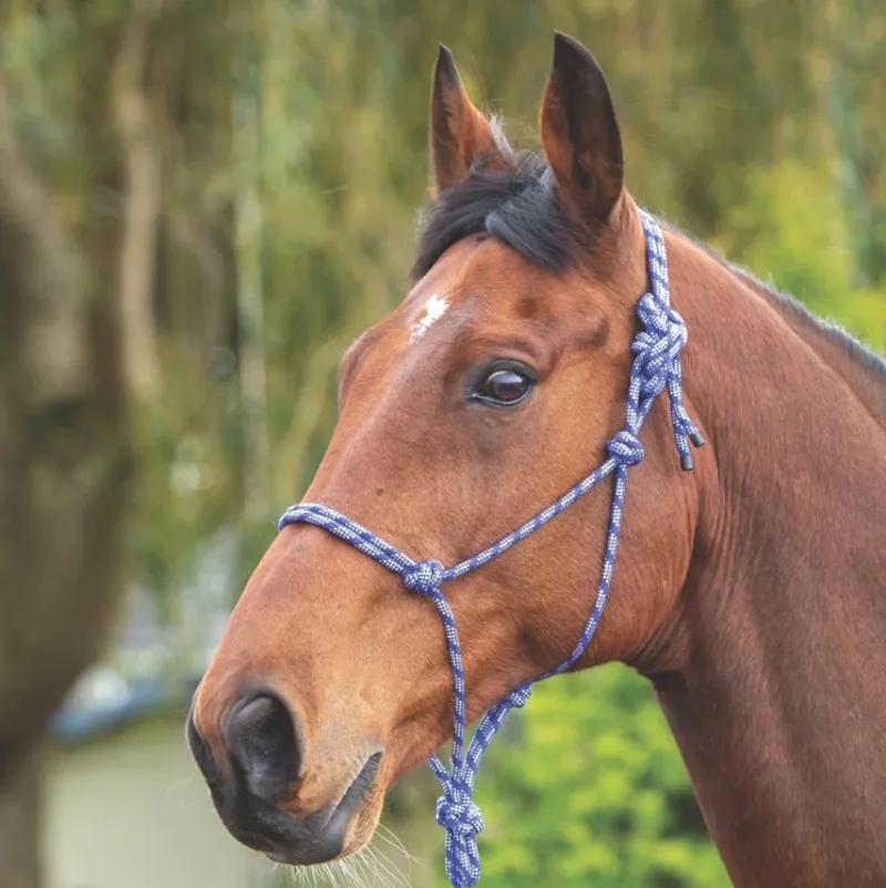 Shires Rope Control Headcollar - Navy/White