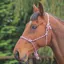 Shires Rope Control Headcollar - Pink/Black