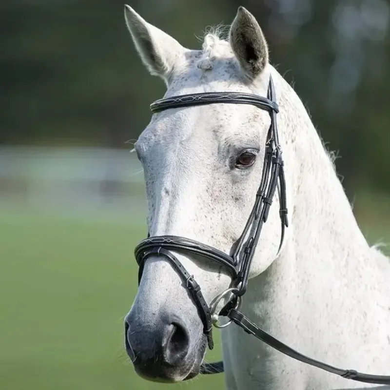Shires Avignon Padded Raised Flash Bridle - Black