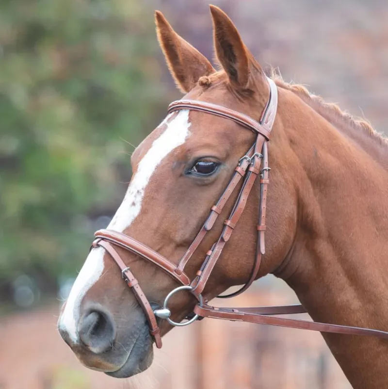 Shires Avignon Padded Raised Flash Bridle - Oak