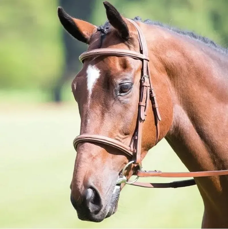 Shires Avignon Padded Raised Cavesson Bridle - Oak
