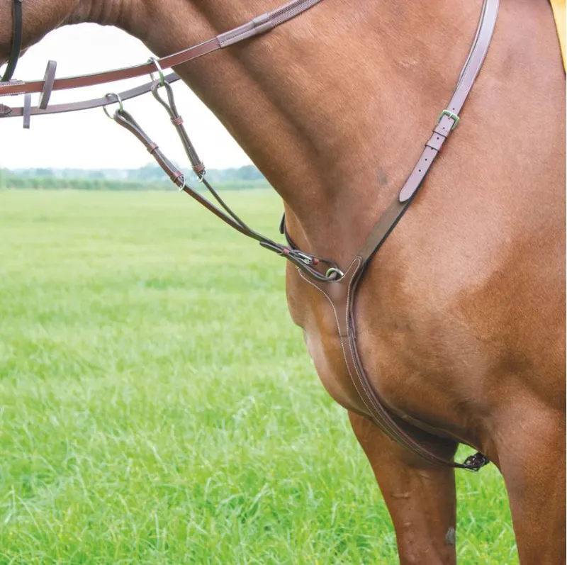 Shires Avignon 3-Point Breastplate - Oak