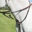 Shires Avignon Running Martingale - Havana