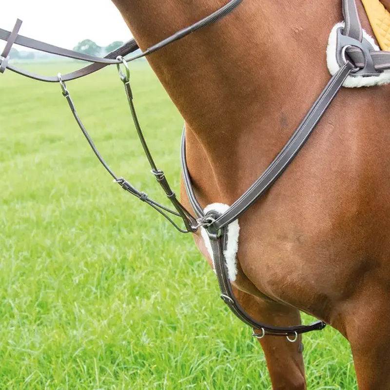 Shires Avignon 5-Point Breastplate - Havana