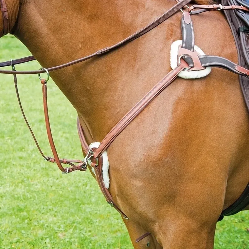 Shires Avignon 5-Point Breastplate - Oak