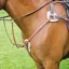 Shires Avignon 5-Point Breastplate - Oak