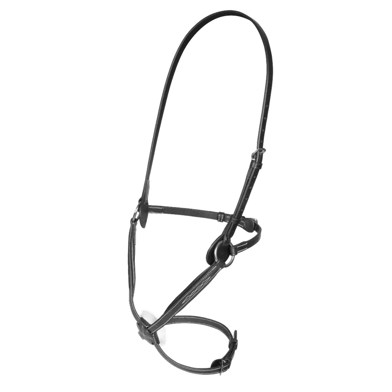Shires Salisbury Brackley Mexican Grackle Noseband - Black