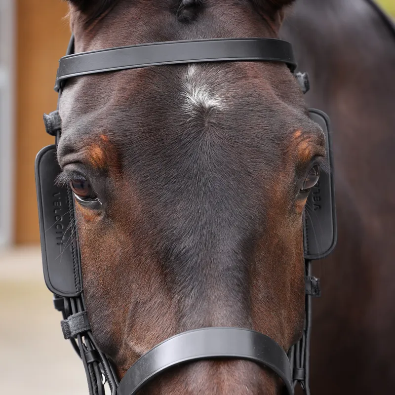 Shires Velociti GARA Leather Blinkers - Black-2