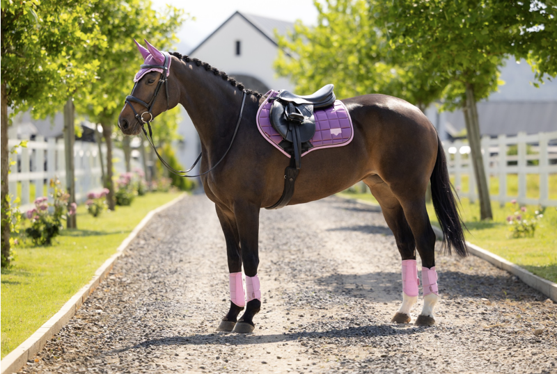 LeMieux Loire Classic Close Contact Square - Mallow-3