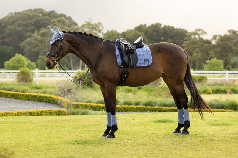 LeMieux Loire Classic Dressage Square - Powder Blue-4