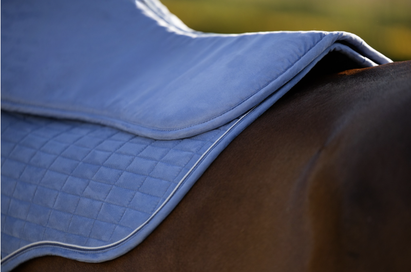 LeMieux Suede Half Pad - Powder Blue-1