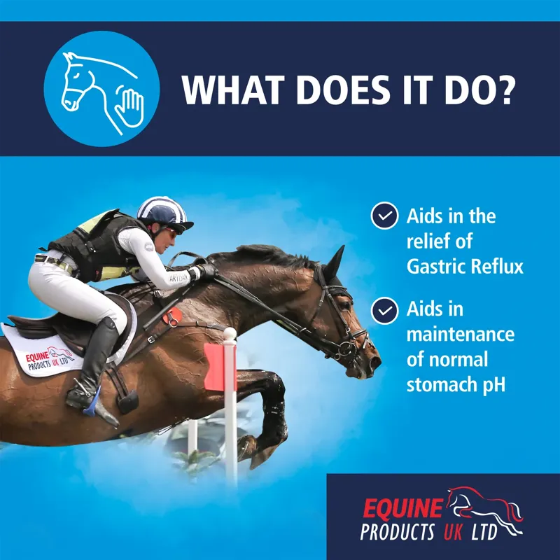 Equine Products Gastro-Mag Complementary Feed Supplement - 1L-5