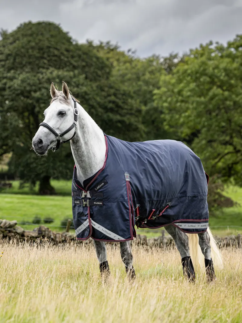 LeMieux Kudos Turnout Rug 200g - Navy-1
